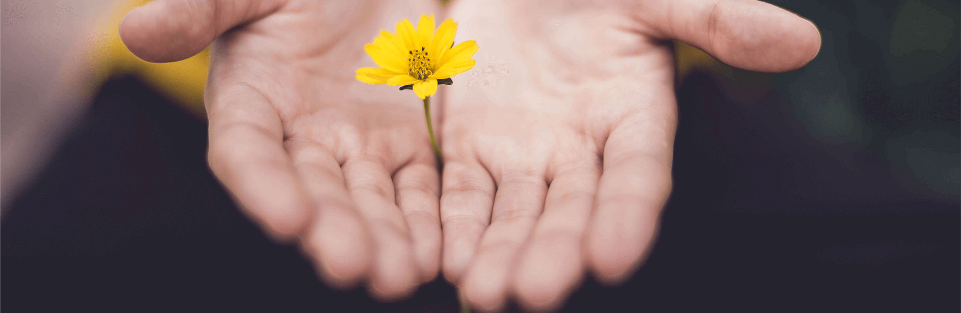 Nazarener Seligenstadt